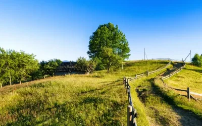 Gestión integral de fincas agrícolas en Córdoba: Asesoramiento integral para agricultores