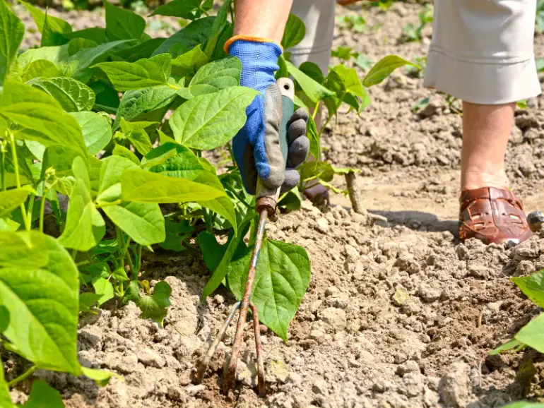 preparacion y cultivo de terrenos en cordoba