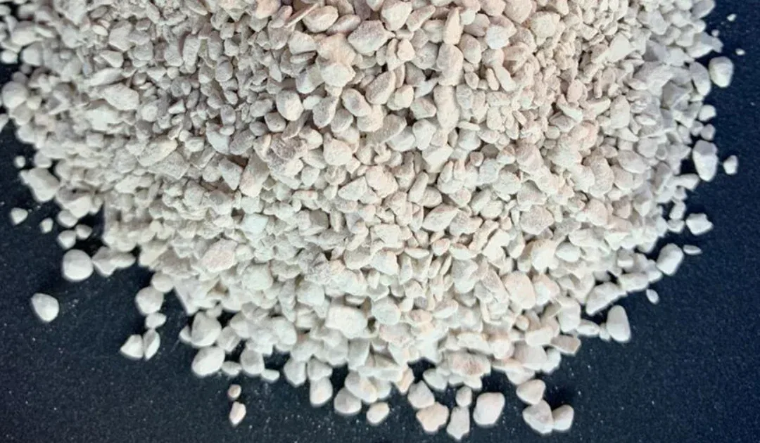 ¿Qué es la tierra de diatomeas y para qué sirve?