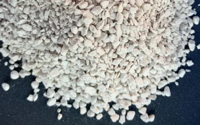 ¿Qué es la tierra de diatomeas y para qué sirve?