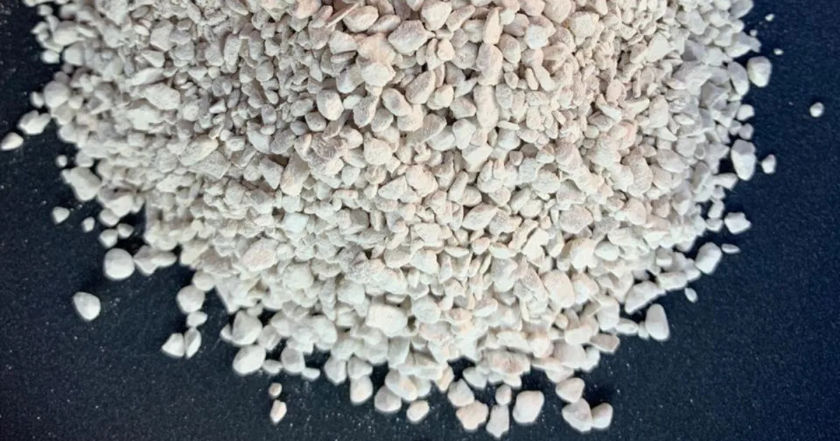 ¿Qué es la tierra de diatomeas y para qué sirve?