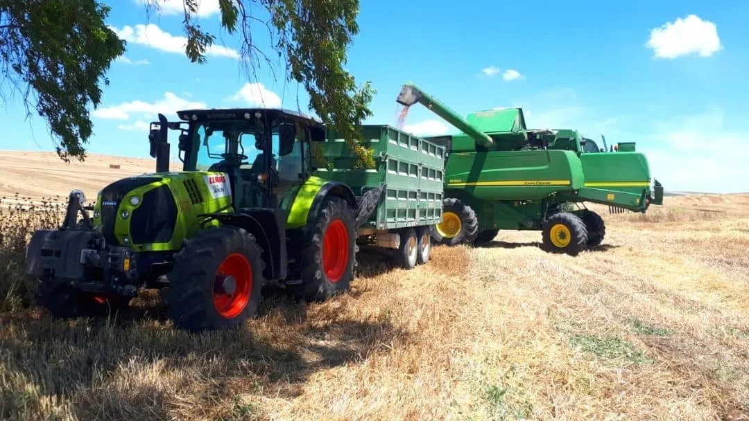 Avances en los Eco-Regímenes