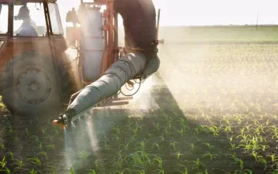 Las mejores prácticas de aplicaciones fitosanitarias, fertilizantes y abonos en Córdoba