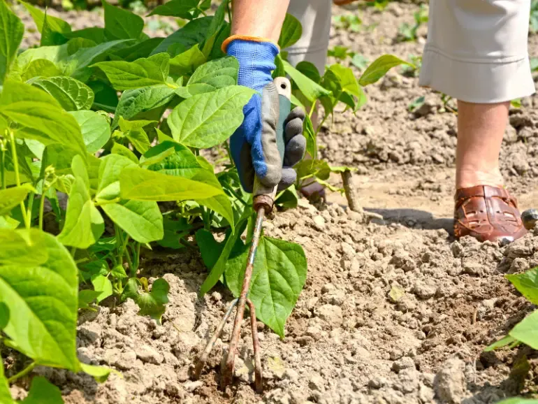 preparacion y cultivo de terrenos en cordoba