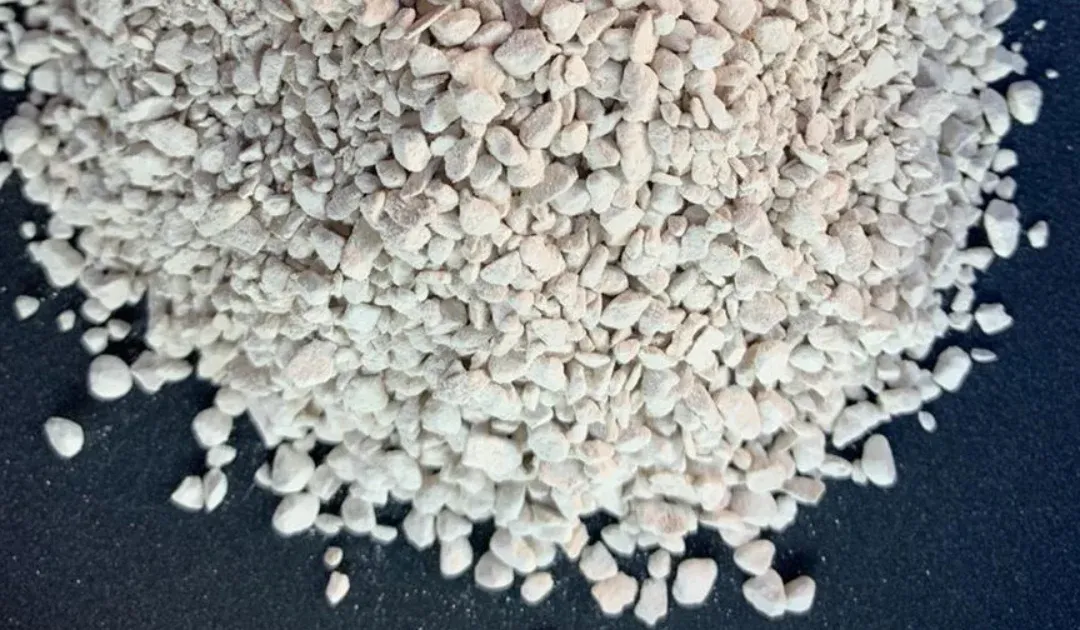 ¿Qué es la tierra de diatomeas y para qué sirve?