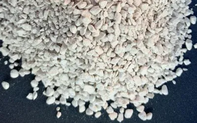 ¿Qué es la tierra de diatomeas y para qué sirve?