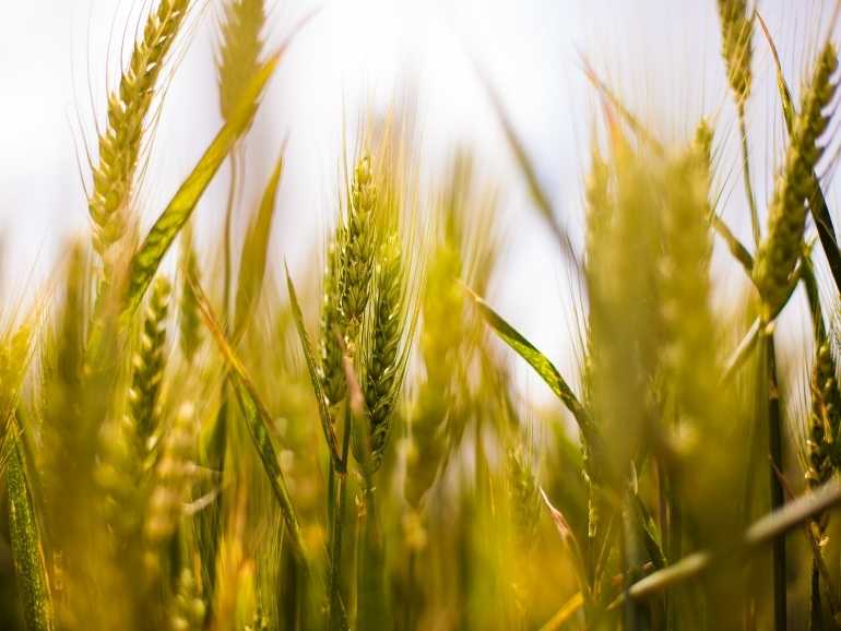 Bertol Servicios Agrícolas - Ventajas