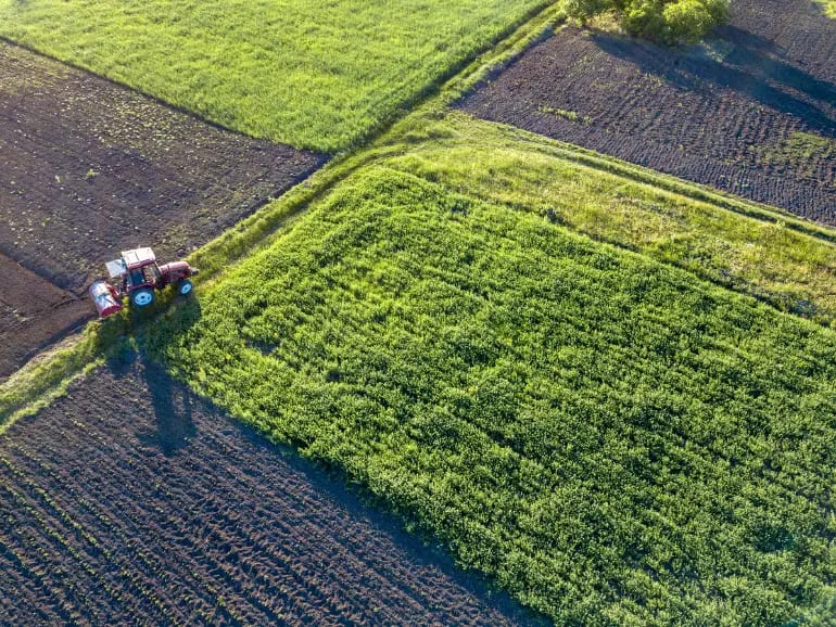 gestión agrícola en córdoba gestión agrícola en córdoba